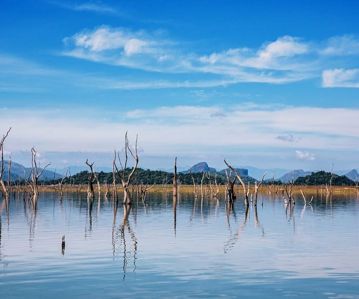 Serene lake scene in Gal Oya region