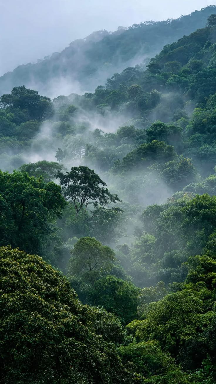 Rolling green hills of Uva Province hill country