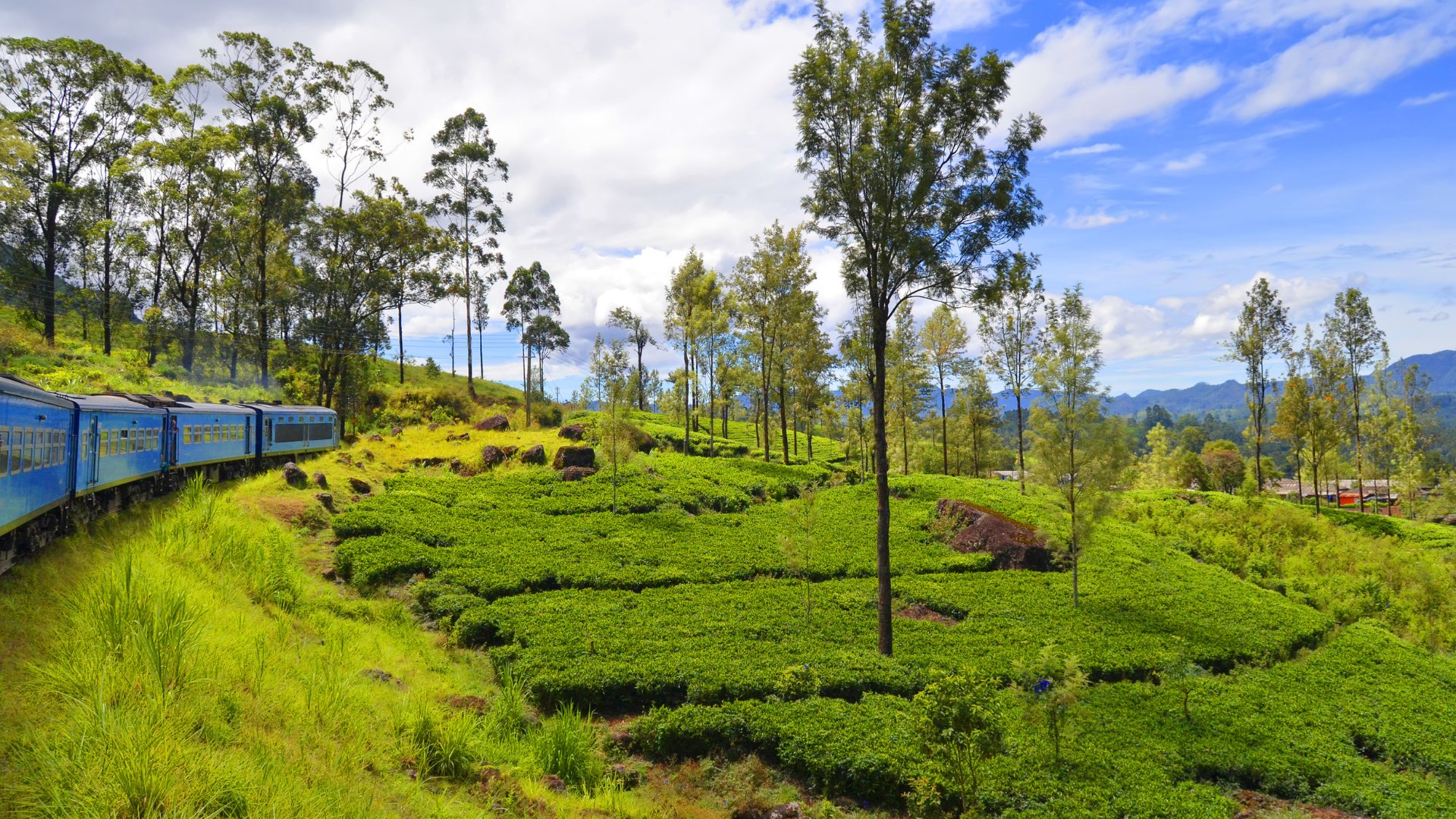 Breathtaking panoramic view of Uva Province hill country
